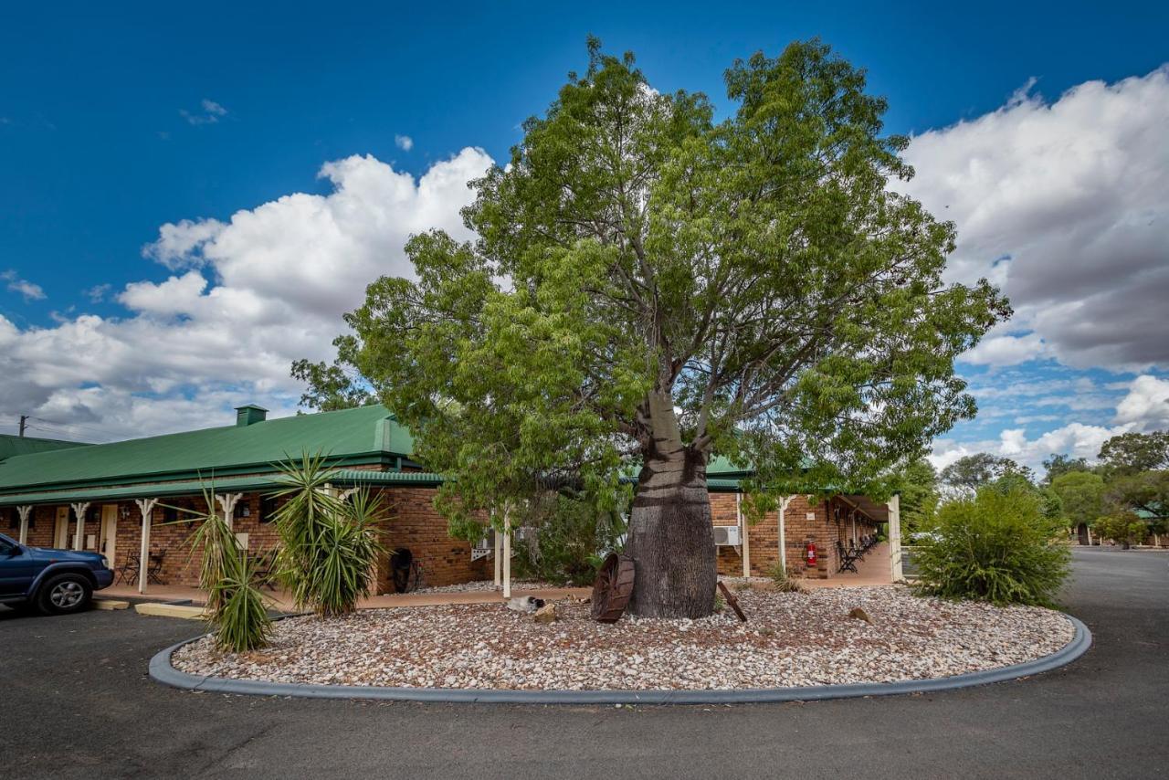 Overlander Homestead Motel โรมา ภายนอก รูปภาพ